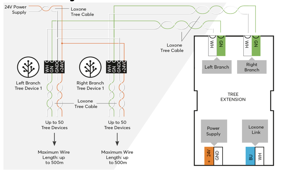 Extension Tree